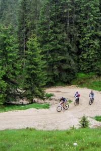 Mountain bike sull'Altopiano di Asiago (foto: Roberto Costa Ebech).