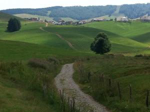 Da contrada Zocchi verso Bertigo