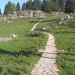 Giardino botanico alpino del monte Corno a Lusiana