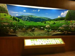 Museo naturalistico didattico