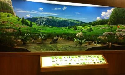 Museo naturalistico didattico