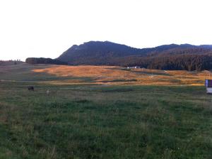 La piana di Vezzena con vista sullo Spitz Verle