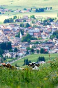 Veduta di Asiago dai pascoli (foto: Roberto Costa Ebech).