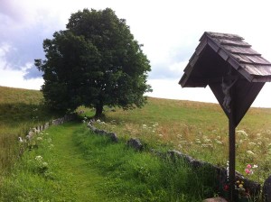 Il sentiero da via Cinque all'aeroporto