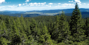 Un panorama dell'Altopiano di Asiago