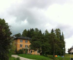Villa Zecchin e i quattro larici