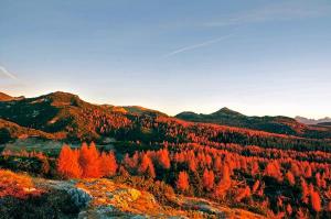 L'Ortigara visto dal Monte Forno (ph: Roberto Costa Ebech).